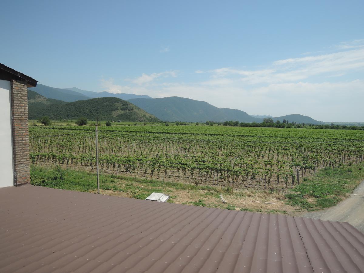 Shaloshvili'S Cellar Hotel Shilda ภายนอก รูปภาพ